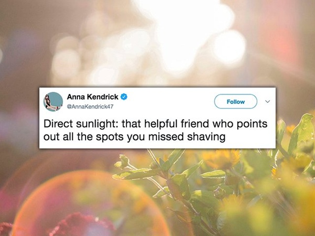 Anna Kendrick's Tweets Are Awesome (19 pics)