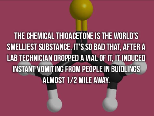 Facts That Are Too Crazy To Be True (22 pics)