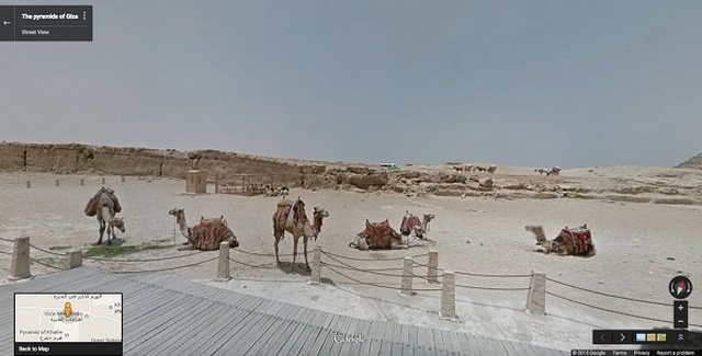 Animals On Google Street View (20 pics)