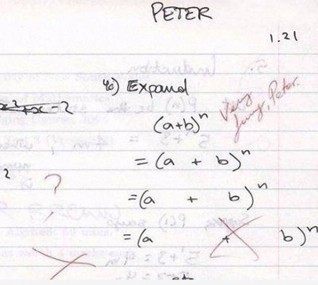 How Kids Do Homework (20 pics)