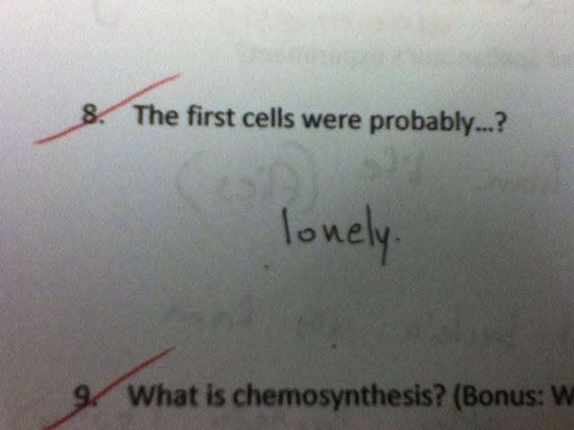How Kids Do Homework (20 pics)