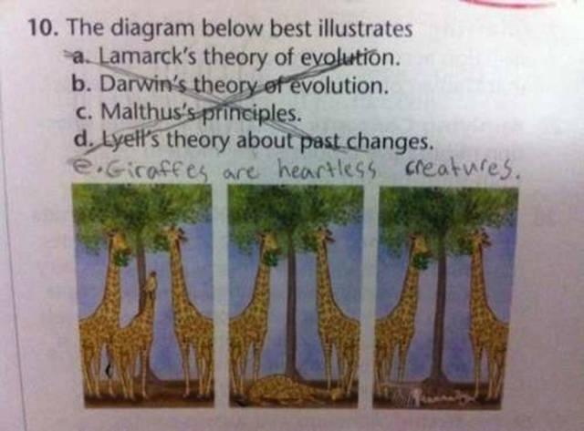 How Kids Do Homework (20 pics)