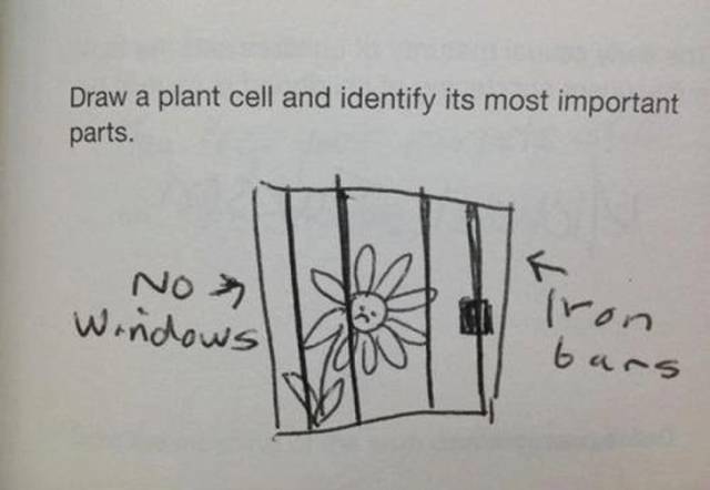 How Kids Do Homework (20 pics)