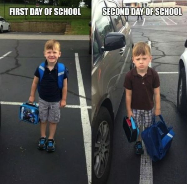Back-to-school Memes (29 pics)