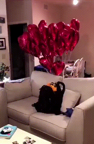 Acid Gifdump, August 17, 2018 (25 gifs)