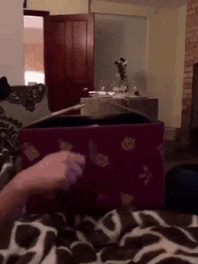 Acid Gifdump, August 17, 2018 (25 gifs)