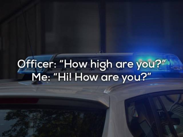 When You Are High... (15 pics)