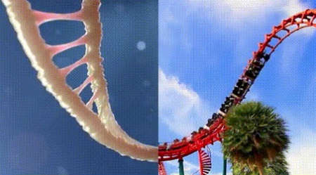 Acid Gifdump, August 20, 2018 (25 gifs)