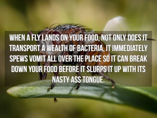 Nasty Facts (16 pics)