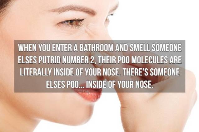 Nasty Facts (16 pics)