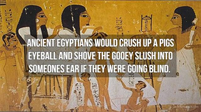 Nasty Facts (16 pics)
