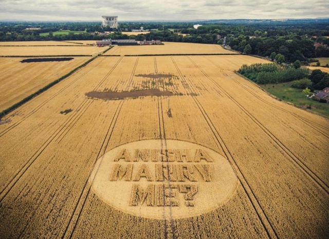 This Is How You Make A Proposal (10 pics)