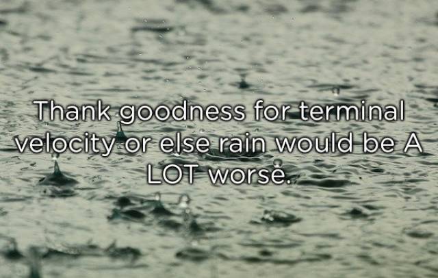 Shower Thoughts (20 pics)