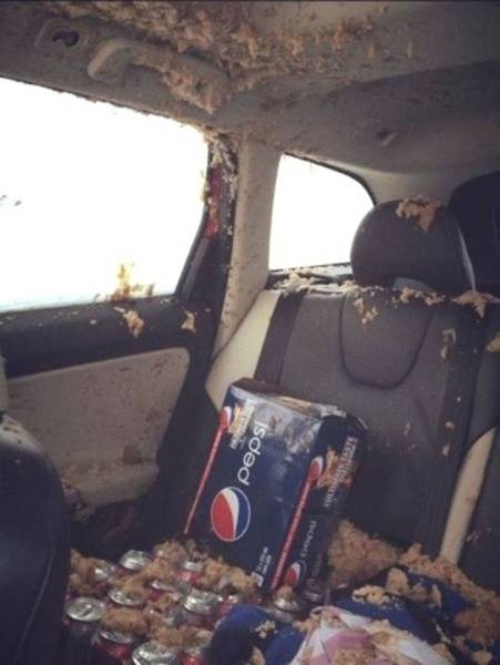 Sh*t Happens (40 pics)