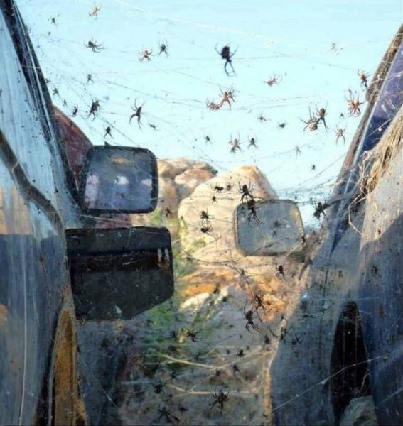 Sh*t Happens (40 pics)