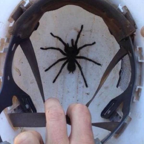 Sh*t Happens (40 pics)