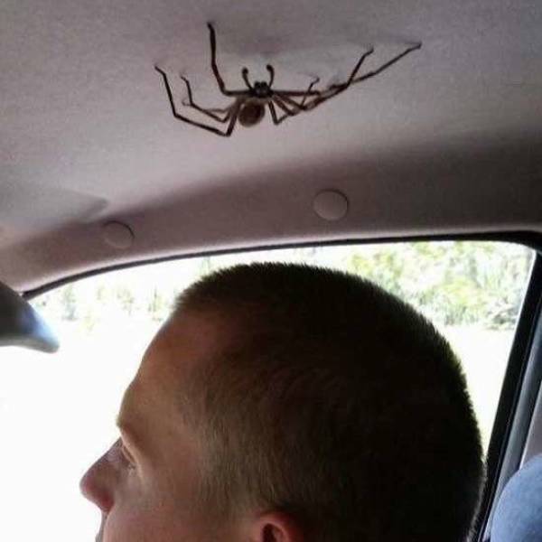 Sh*t Happens (40 pics)