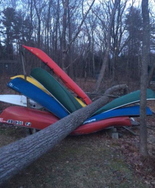 Sh*t Happens (40 pics)