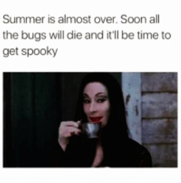 Summer Memes (26 pics)