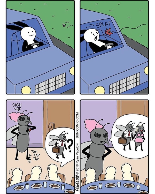 Bunny Comics That Often Don't End Well (25 pics)