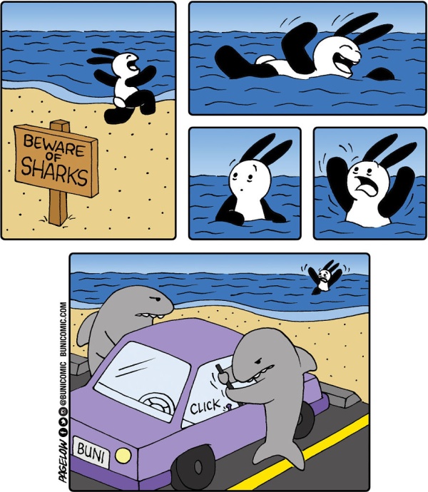 Bunny Comics That Often Don't End Well (25 pics)