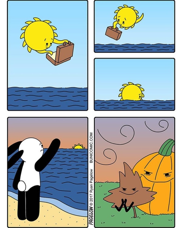 Bunny Comics That Often Don't End Well (25 pics)