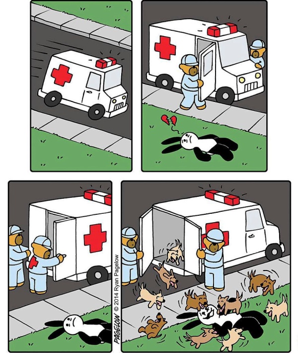 Bunny Comics That Often Don't End Well (25 pics)
