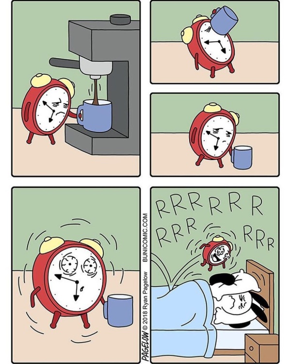 Bunny Comics That Often Don't End Well (25 pics)