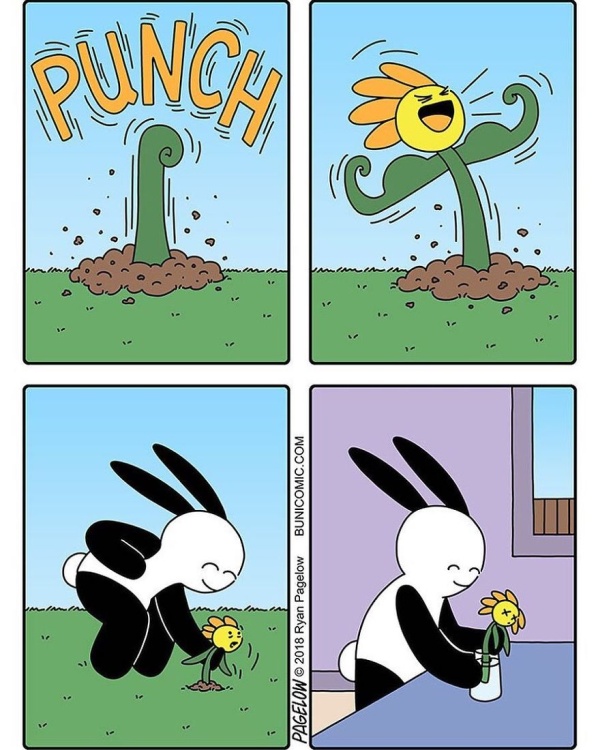 Bunny Comics That Often Don't End Well (25 pics)