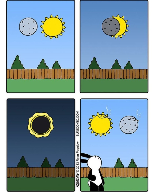 Bunny Comics That Often Don't End Well (25 pics)