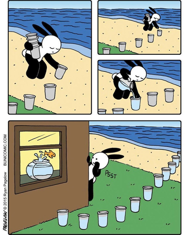 Bunny Comics That Often Don't End Well (25 pics)