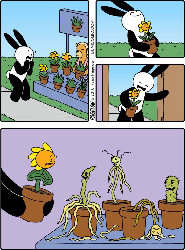 Bunny Comics That Often Don't End Well (25 pics)