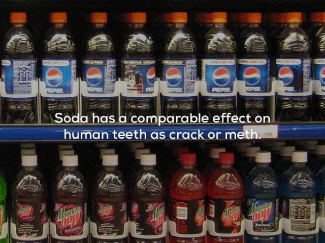 Facts That Sound Pretty Weird (20 pics)