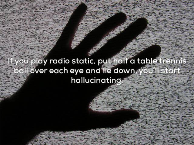 Facts That Sound Pretty Weird (20 pics)