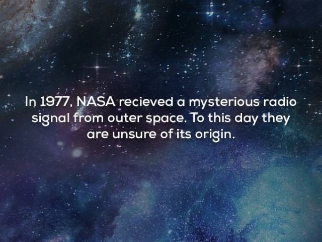Facts That Sound Pretty Weird (20 pics)