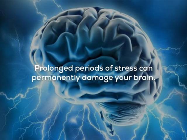 Facts That Sound Pretty Weird (20 pics)