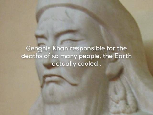 Facts That Sound Pretty Weird (20 pics)
