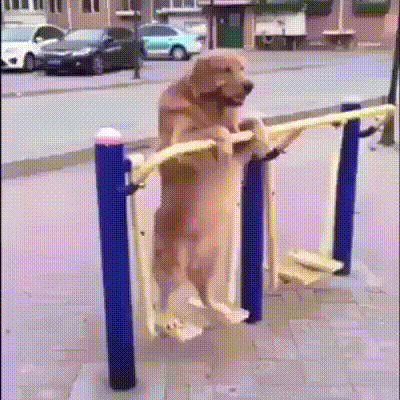 Acid Gifdump, August 21, 2018 (25 gifs)