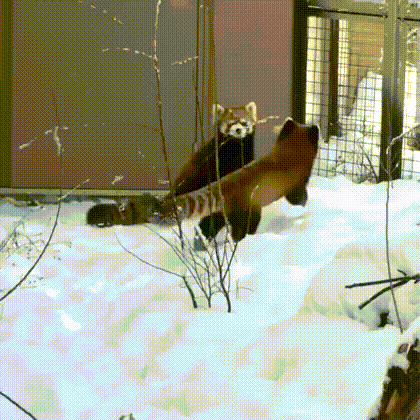 Acid Gifdump, August 21, 2018 (25 gifs)