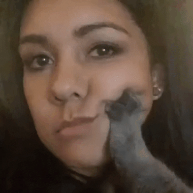 Acid Gifdump, August 21, 2018 (25 gifs)