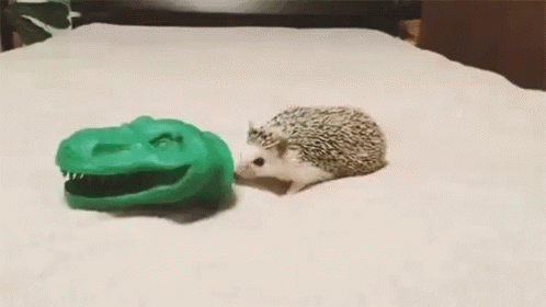 Acid Gifdump, August 21, 2018 (25 gifs)
