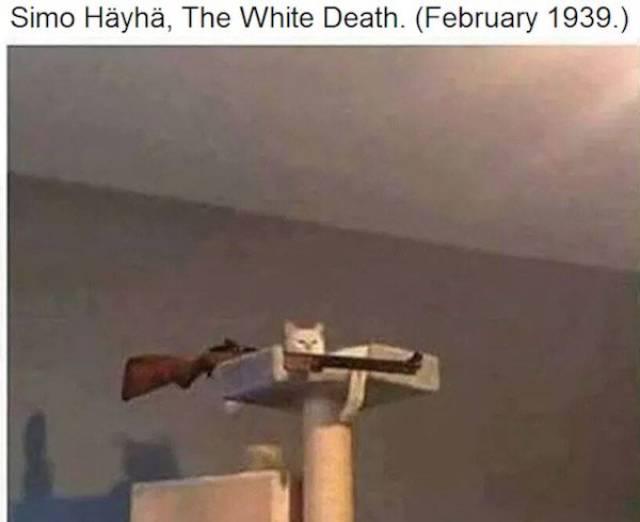 Historical Memes (24 pics)