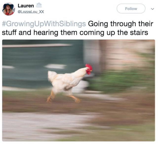 Tweets That Everyone With A Sibling Can Relate To (23 pics)