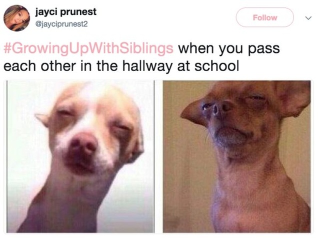 Tweets That Everyone With A Sibling Can Relate To (23 pics)