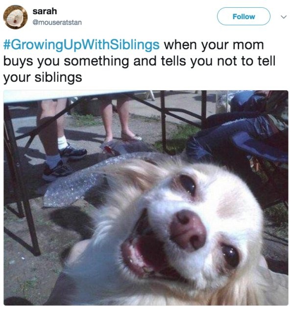 Tweets That Everyone With A Sibling Can Relate To (23 pics)