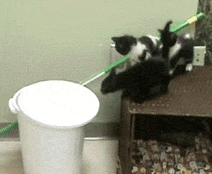 People And Trash (16 gifs)
