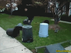 People And Trash (16 gifs)