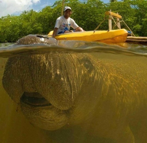 Acid Picdump (93 pics)