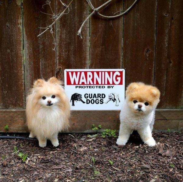 Acid Picdump (93 pics)