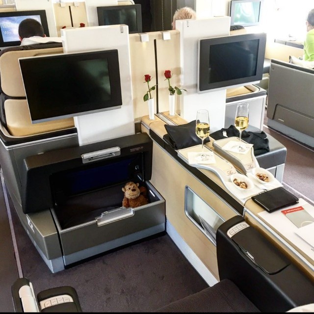 First Class In Different Airlines (38 pics)